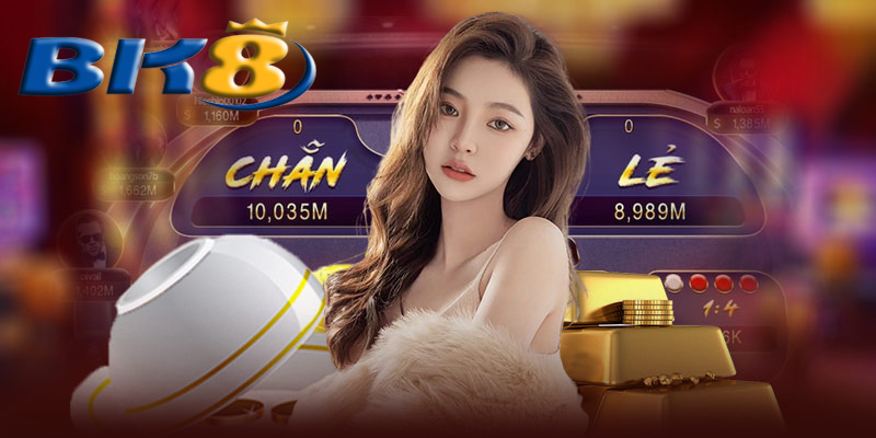 Hỗ trợ khách hàng tại casino BK8